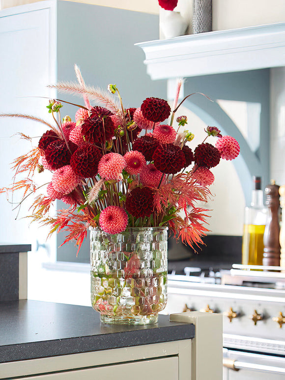 Dalia Dark Spirit - Bukiet ciemnoczerwonych dalii