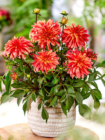 Dalia Gallery Art Deco