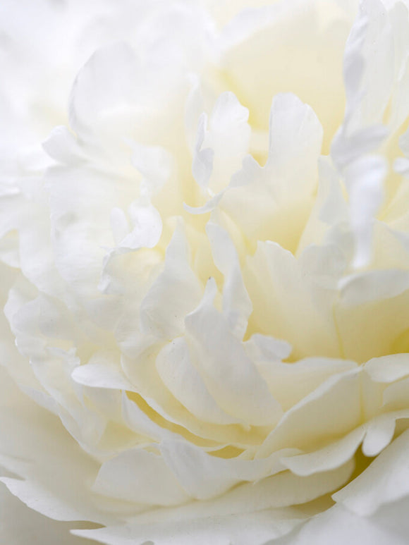 Piwonia Bridal Shower wysyłka jesienią