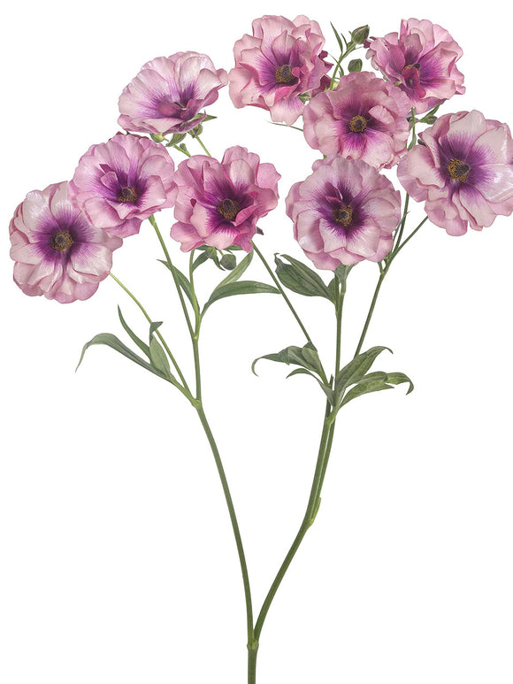 Jaskier Butterfly Thiva