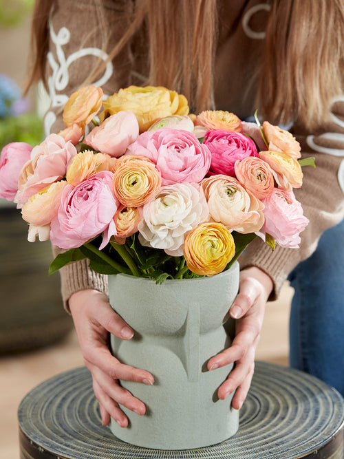 Jaskier Amandine Pauline Pastel