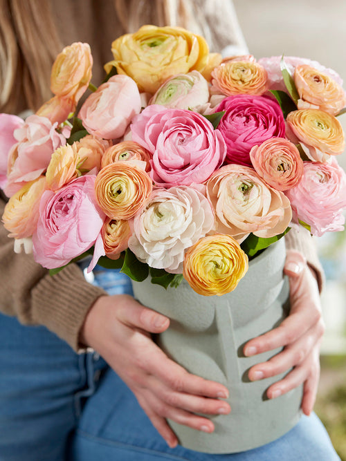 Kup Jaskier Pauline Pastel