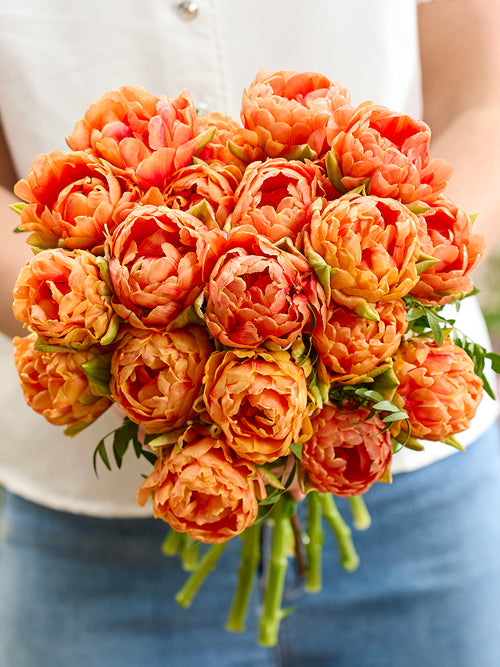 Kup Tulipan Orange Flavour