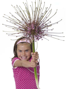 Czosnek ozdobny Szuberta