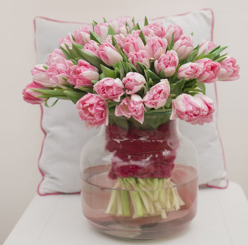 Podwójna Różowa Piwonia Tulipan Foxtrot - Wysyłka do Polski