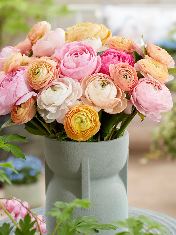 Jaskier Amandine Pauline Pastel