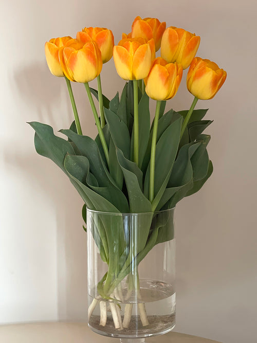 Kup Tulipan Goldfinch - jesienna wysyłka